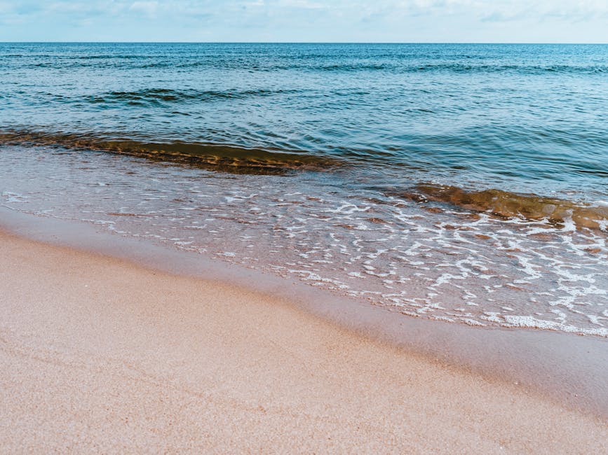 A serene beach with gentle waves lapping at the sandy shore under a clear sky.